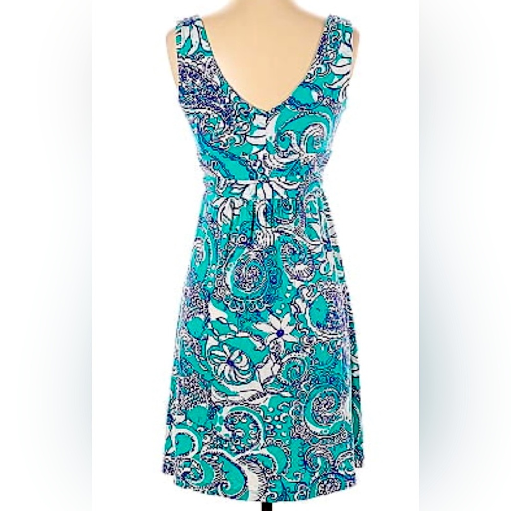 Lilly Shianne Dress👗